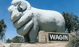 Wagin Motel - Accommodation Main Beach