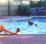 Shark Bay Caravan Park - Accommodation Main Beach