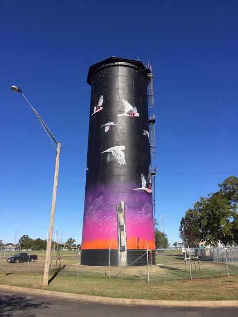 Coonamble Riverside Caravan Park - Accommodation Main Beach 2