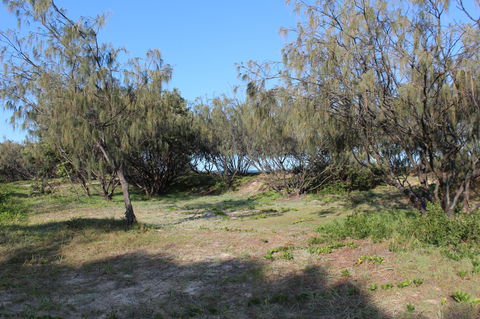 K'gari (Fraser Island) Camping, Great Sandy National Park - Accommodation Main Beach 1