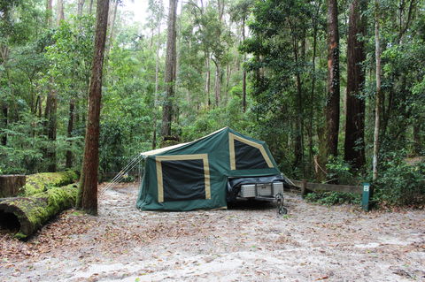 K'gari (Fraser Island) Camping, Great Sandy National Park - Accommodation Main Beach 2