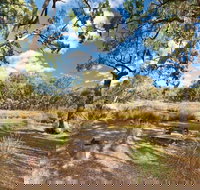 Kings Plains Creek campground - Accommodation Main Beach