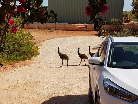 Ningaloo Bed And Breakfast - Accommodation Main Beach 1