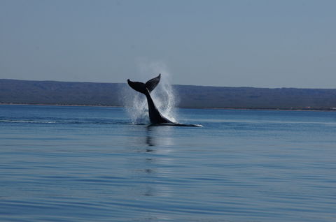Ningaloo Bed And Breakfast - Accommodation Main Beach 2