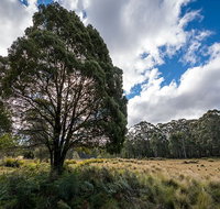 Nunnock campground - Accommodation Main Beach