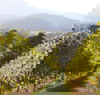 Rosetta's Garden Guesthouse - Accommodation Main Beach