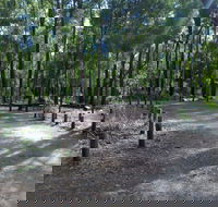 Stringers Camp at Lane Poole Reserve - Accommodation Main Beach