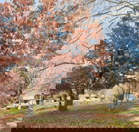 Tumbarumba Caravan Park - Accommodation Main Beach