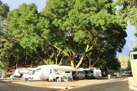 Williamstown Queen Victoria Jubilee Park - Accommodation Main Beach 0