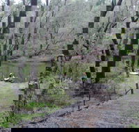 Yarragil Camp at  Lane Poole Reserve - Accommodation Main Beach