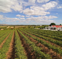 1837 Barossa Luxury Vineyard Cottages - Accommodation Main Beach