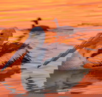 4 Pelican Court - River Shack Rentals - Accommodation Main Beach