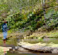 Bass Lodge - Accommodation Main Beach