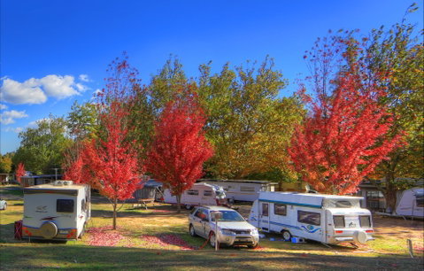 Beechworth Lake Sambell Caravan Park - Accommodation Main Beach 0