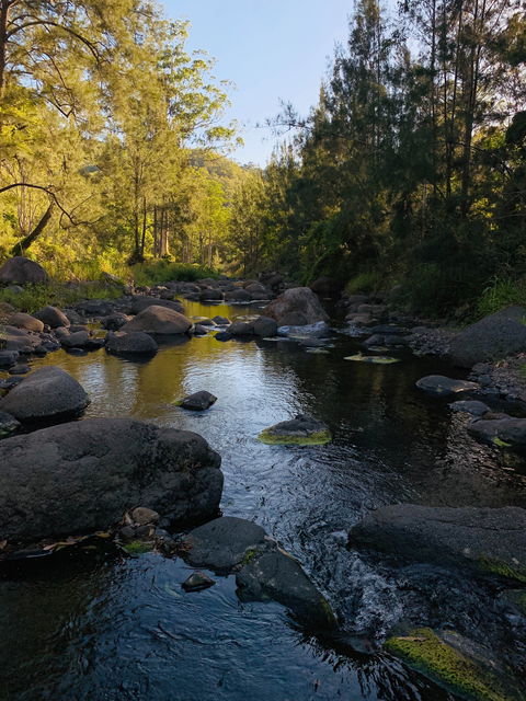 Cave Rock Cottages - Accommodation Main Beach 0