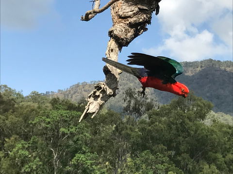 Cave Rock Cottages - Accommodation Main Beach 2