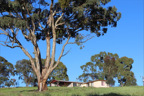 Clare View Accommodation - Clare View Cottage - Accommodation Main Beach 2