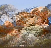 Credo Homestead Camp at Credo Conservation Park