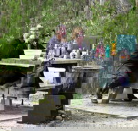 Cypress-pine campground - Accommodation Main Beach