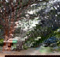 Fernleigh Accommodation - Accommodation Main Beach