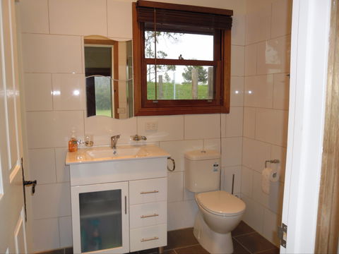 Highland Cattle Farm Stay - Accommodation Main Beach 2