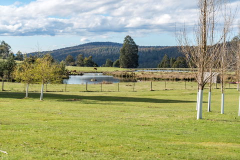 Highland Caravan Park - Accommodation Main Beach 1