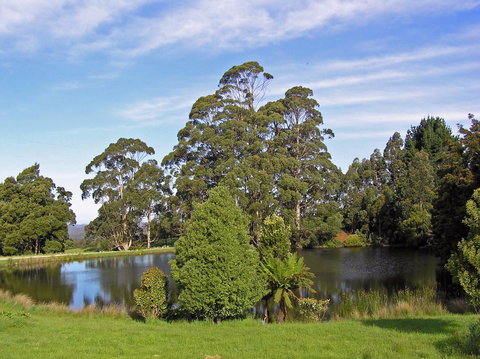 Newry Park Cottage - Accommodation Main Beach 1