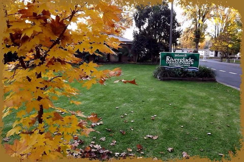 Riverglade Caravan Park - Accommodation Main Beach 0