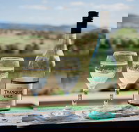 Tranquil Vale Vineyard