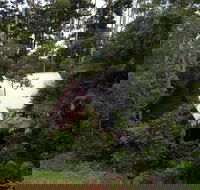 Turkeys Nest Rainforest Cottages Mt Glorious - Accommodation Main Beach