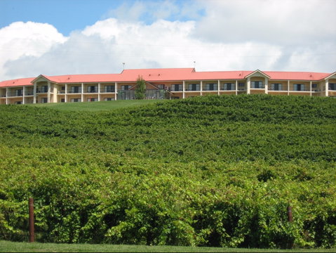 Turners Vineyard Motel - Accommodation Main Beach 0