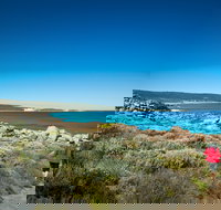 Wyadup Brook Cottages - Accommodation Main Beach