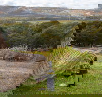 131 - Heart of the Vale - Accommodation Main Beach