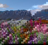 AAA Granary Accommodation - The Last Resort - Accommodation Main Beach