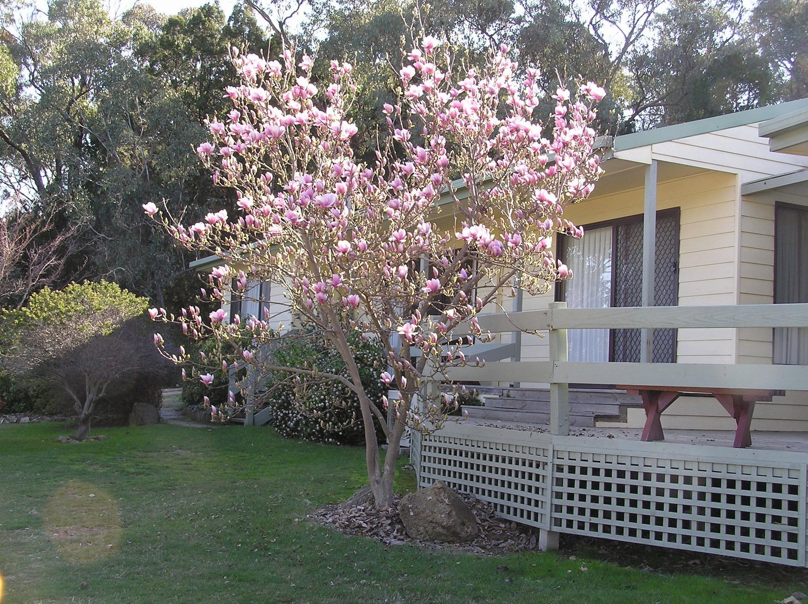 Beechworth VIC Accommodation Main Beach