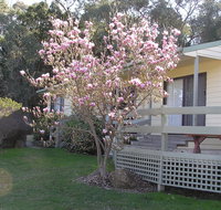 Annies Holiday Units - Accommodation Main Beach