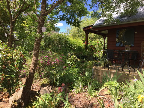 Artscape Cottage Beechworth - Accommodation Main Beach 2