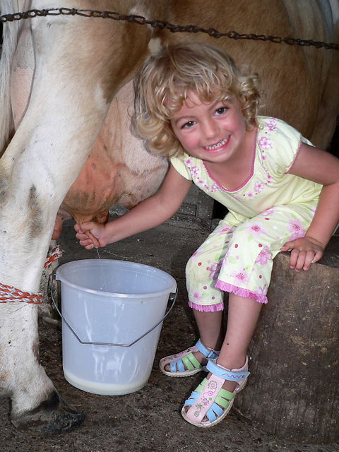 Ashmar Farmstay - Accommodation Main Beach 1