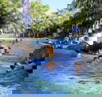 Big4 Aussie Outback Oasis Holiday Park - Accommodation Main Beach