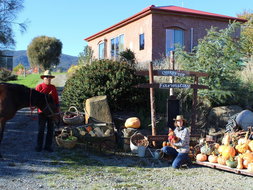 Book Hobart Accommodation Vacations Accommodation Main Beach Accommodation Main Beach