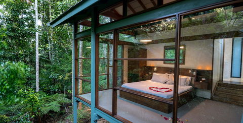 Crystal Creek Rainforest Retreat - Accommodation Main Beach 2