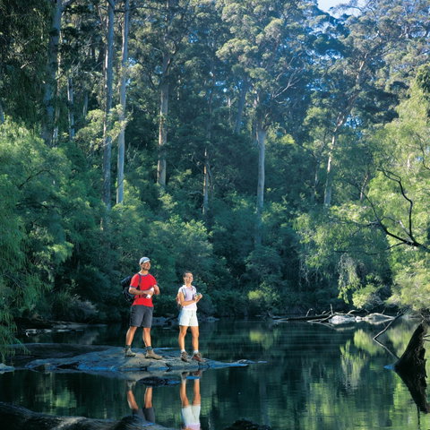 Drafty's Camp At Warren National Park - Accommodation Main Beach 0