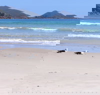 Eagles Rise Tasmania - Accommodation Main Beach