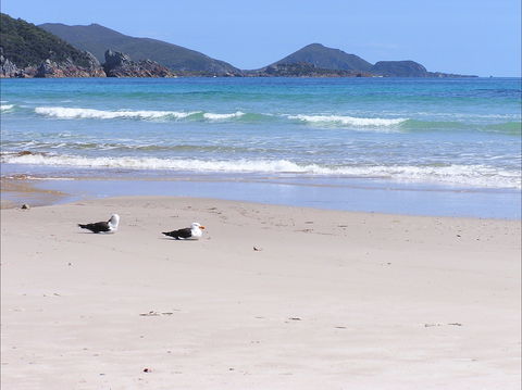 Eagles Rise Tasmania - Accommodation Main Beach 0