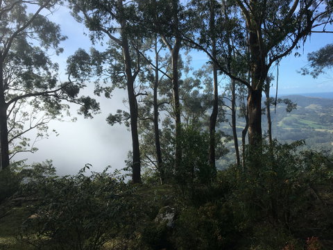 Escarpment - Accommodation Main Beach 2