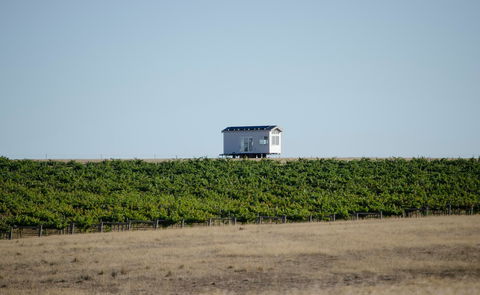 Hounds Run Vineyard - Accommodation Main Beach 0