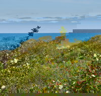 Preston Beach Front Apartment - Accommodation Main Beach