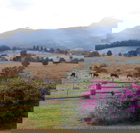 The Barn  House Farm Stay at Possum Manor - Accommodation Main Beach