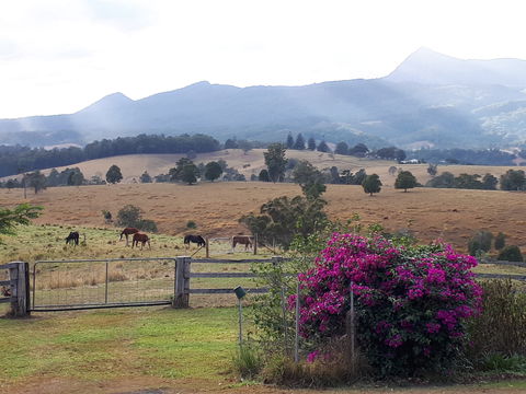 The Barn  House Farm Stay At Possum Manor - Accommodation Main Beach 0