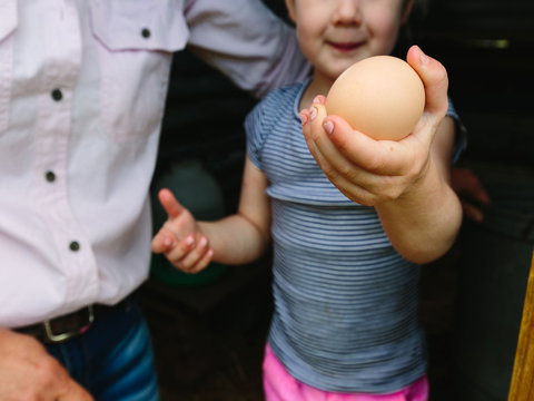 Tommerups Dairy Farmstay - Accommodation Main Beach 1